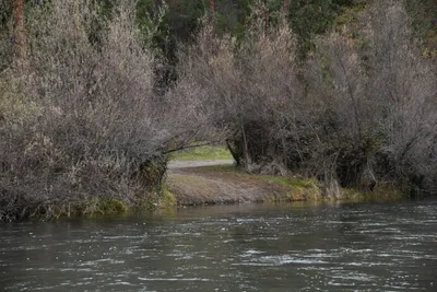 DSC_0163 (Large).JPG